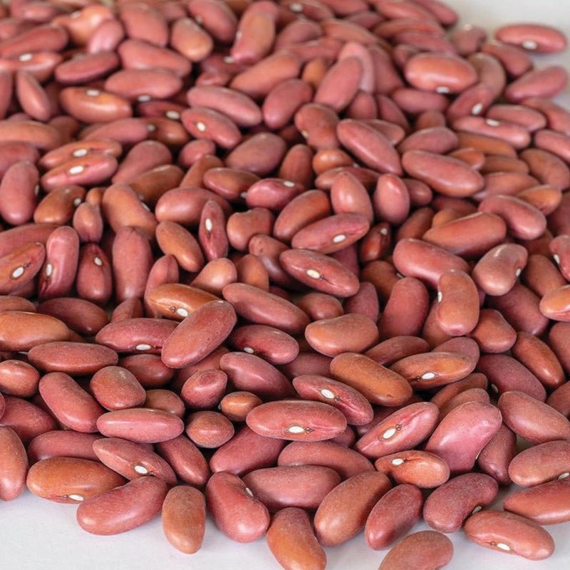 Light Red Kidney Bean (Bush)