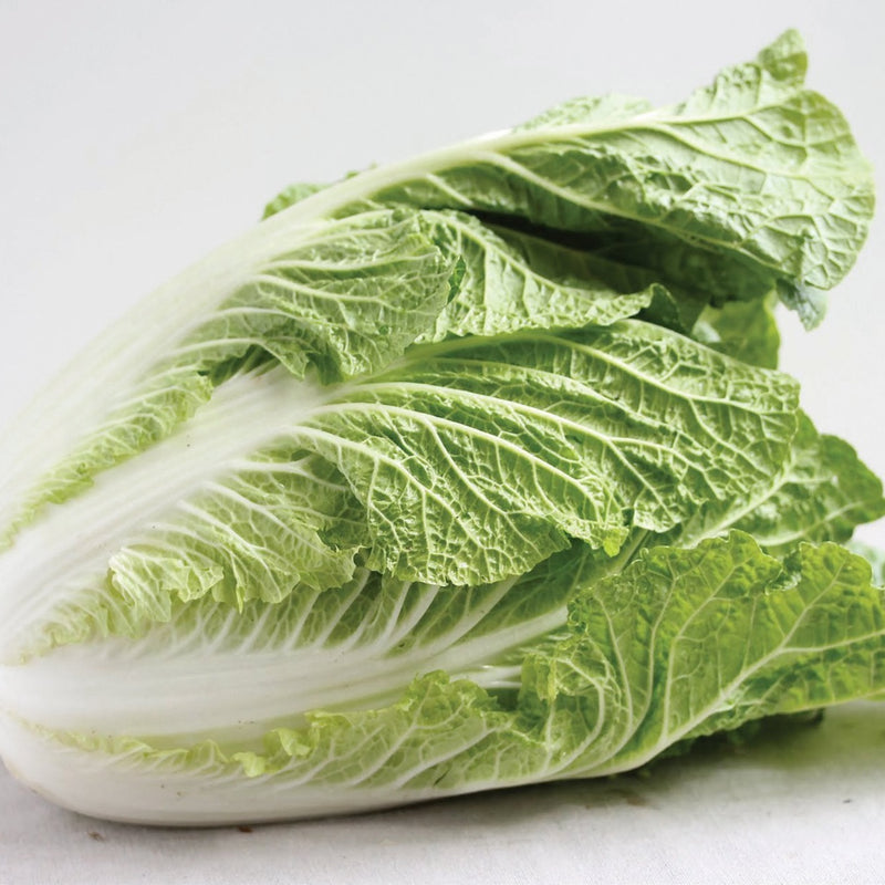 Napa Cabbage