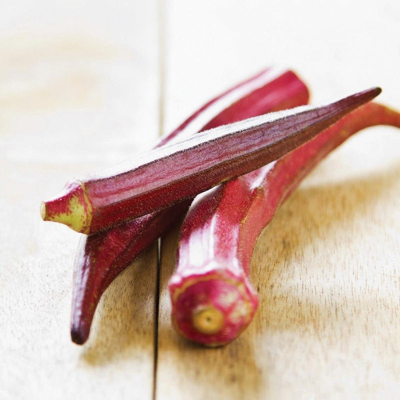 Red Burgundy Okra