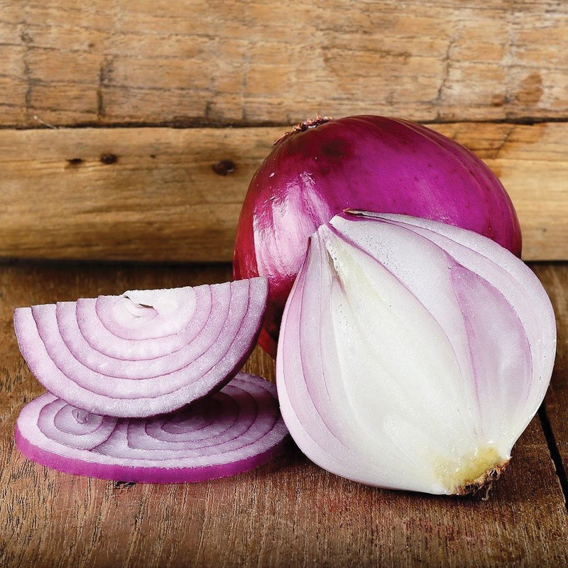 Red Burgundy Onion