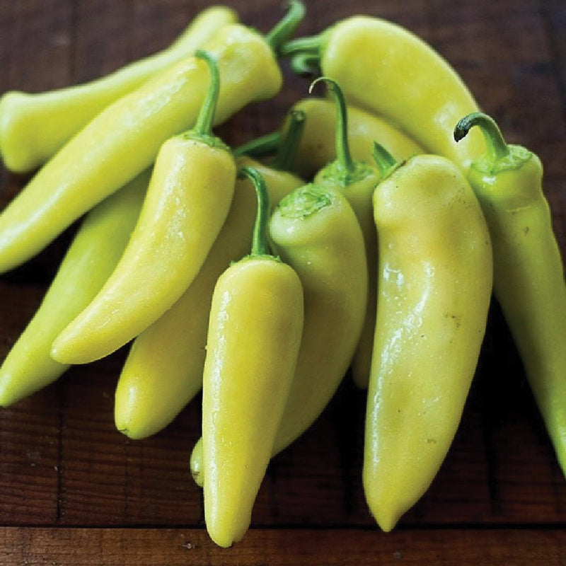 Hungarian Sweet Yellow Pepper