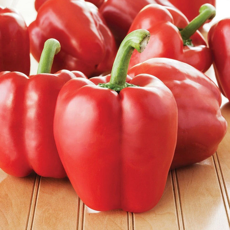 Big Red Bell Pepper