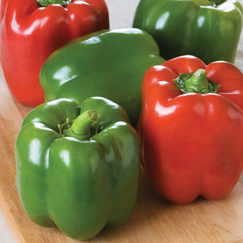 Keystone Giant Bell Pepper