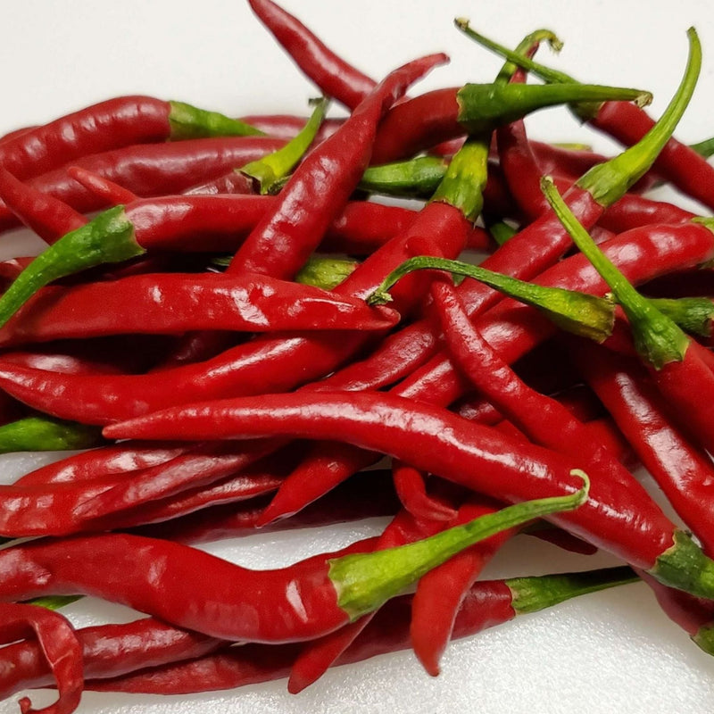 Chile De Arbol Pepper