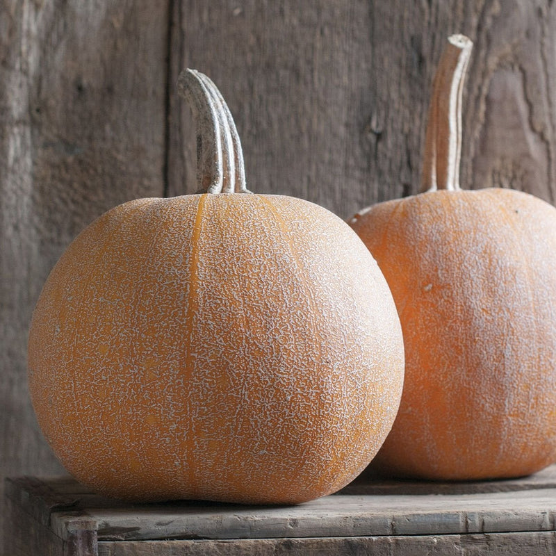 Winter Luxury Pumpkin