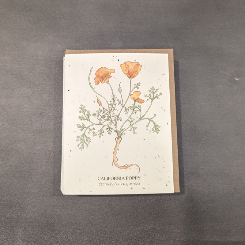 Botanical Plantable Seed Cards