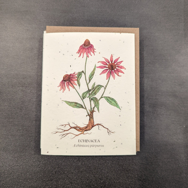 Botanical Plantable Seed Cards