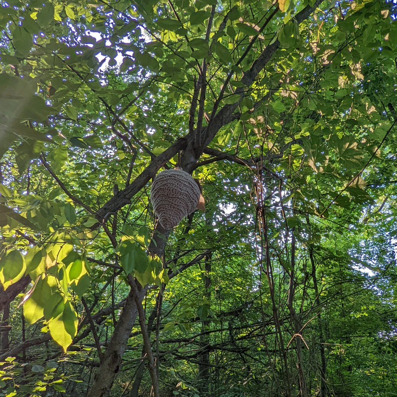 Wasp Nest Decoy