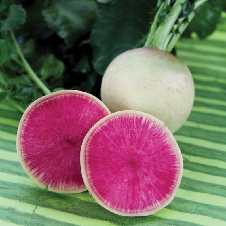 Watermelon Radish