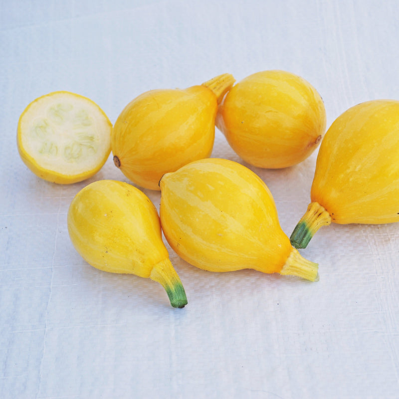 Lemon Squash