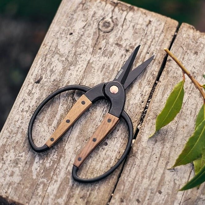 Barebones Small Scissors