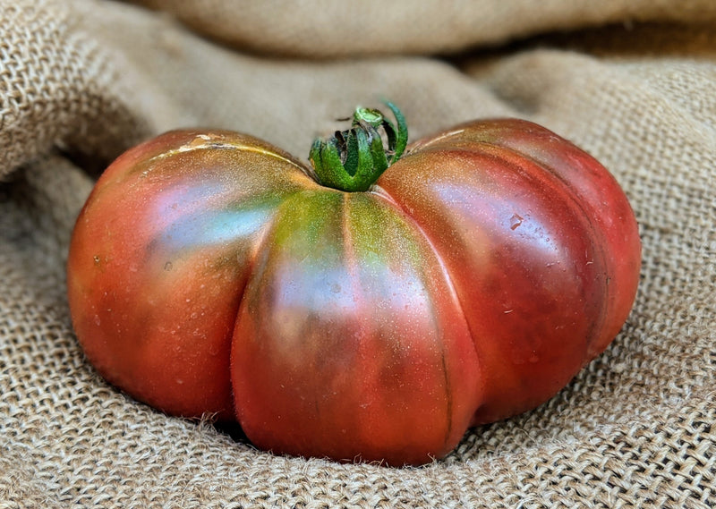 Cherokee Purple Tomato