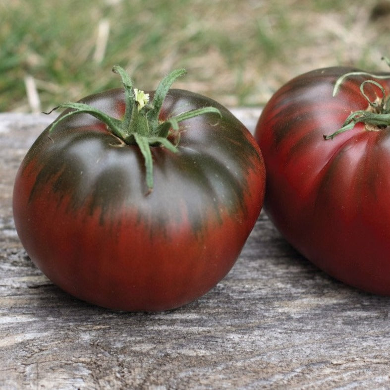 Paul Robeson Tomato