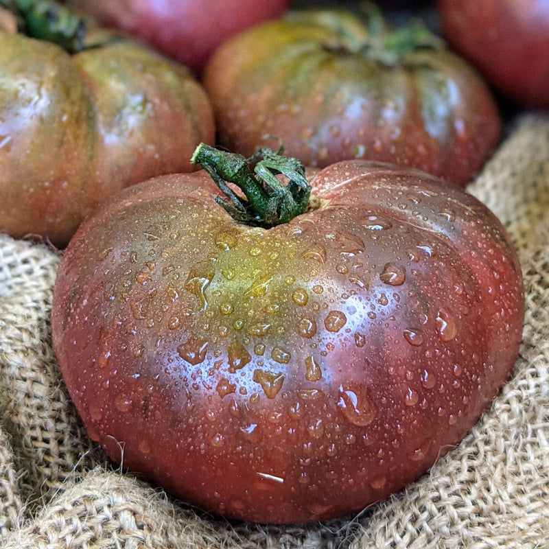 Brandywine Black Tomato