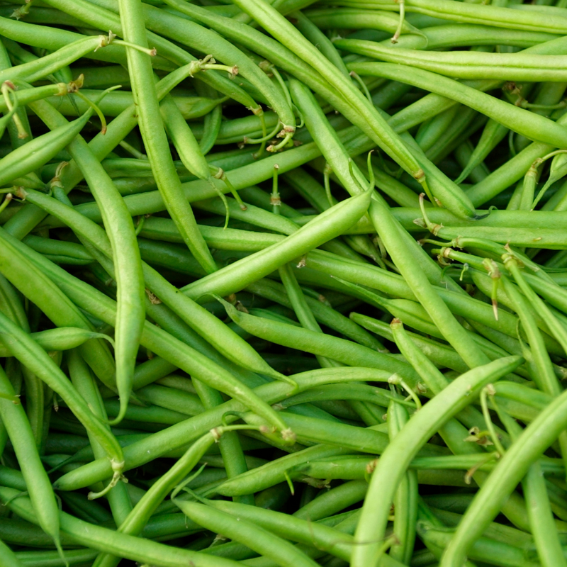 Ideal Market Bean (Pole)