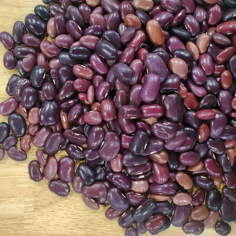 Ayocote Morado Bean