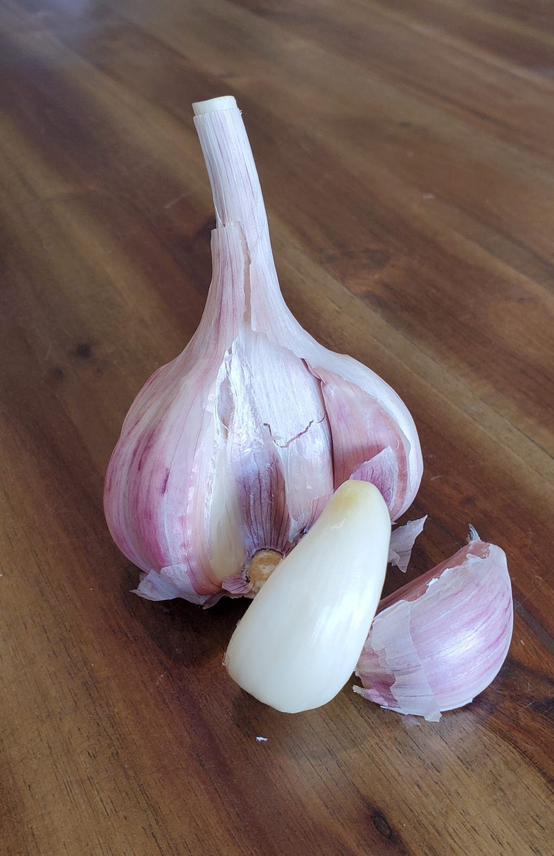 Duganski (Hardneck) Garlic