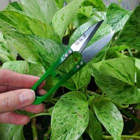 Premium Bonsai Style Mini Herb Snips