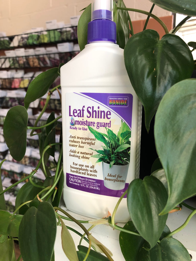 Leaf Shine Moisture Guard