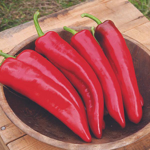 Numex Joe Parker Pepper