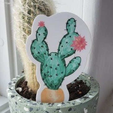 Cactus Sticker