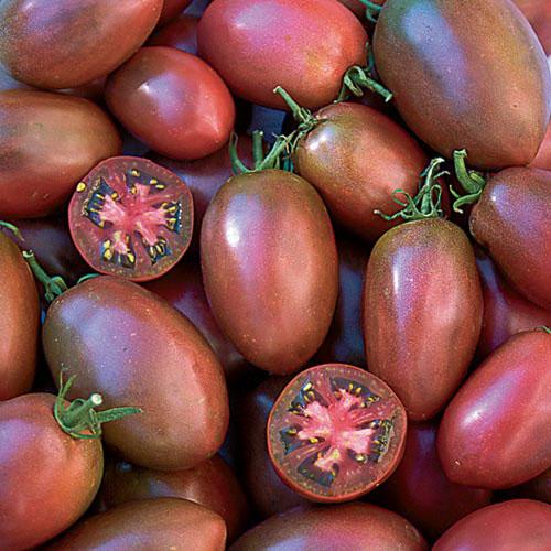 Ukrainian purple tomato